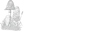 Mid Yorkshire Fungus Group