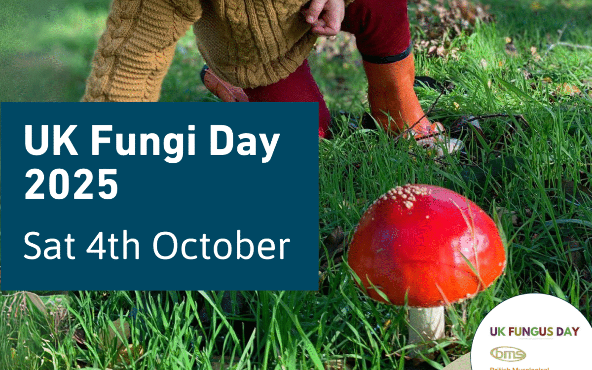 UK Fungi Day 2025