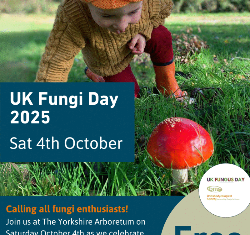 UK Fungi Day 2025